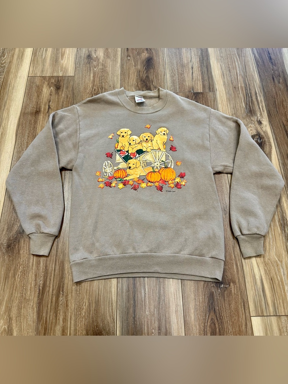 Vtg Russell Jerzees Puppy Dog Fall Halloween Pumpkin Sweatshirt USA Made, Medium - Picture 2 of 7